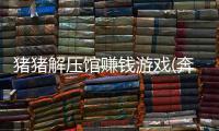 猪猪解压馆赚钱游戏(奔跑的猪猪)