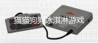 猫猫狗狗冰淇淋游戏