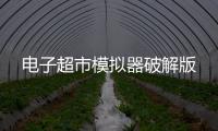 电子超市模拟器破解版