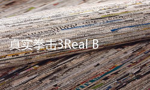 真实拳击3Real Boxing 3官方版下载