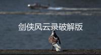 剑侠风云录破解版