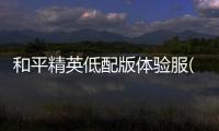 和平精英低配版体验服(BETA PUBG MOBILE LITE)
