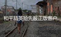 和平精英抢先服正版客户端