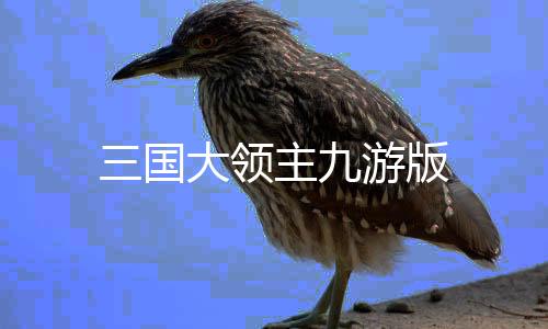 三国大领主九游版下载