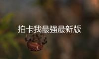 拍卡我最强最新版