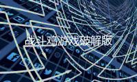 战斗鸡游戏破解版
