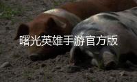 曙光英雄手游官方版