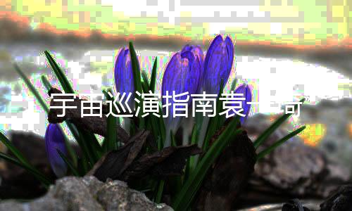 宇宙巡演指南袁一琦下载