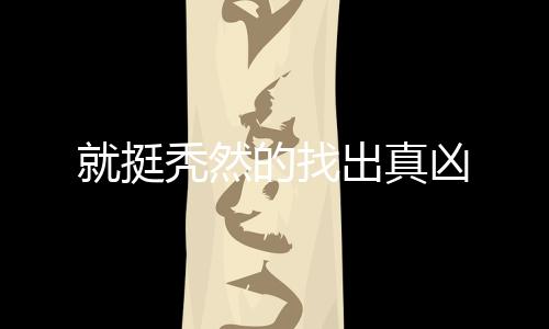 就挺秃然的找出真凶下载