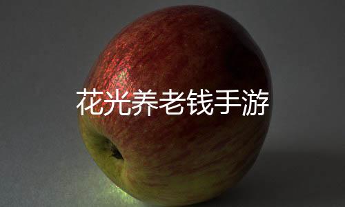 花光养老钱手游下载