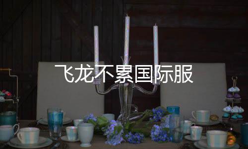 飞龙不累国际服下载