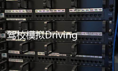 驾校模拟DrivingSchoolSim2020下载