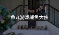 鱼丸游戏捕鱼大侠