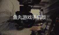 鱼丸游戏手机版