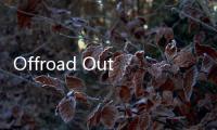 Offroad Outlaws Drag Racing越野直线加速赛