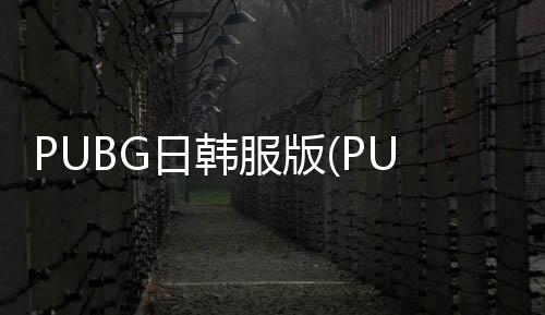 PUBG日韩服版(PUBG Mobile KR )下载