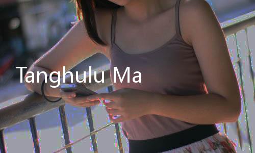Tanghulu Master糖葫芦达人国际服下载