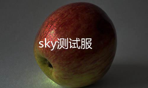sky测试服下载