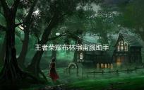 王者荣耀布林宇宙服助手(初玄王者一体脚本)
