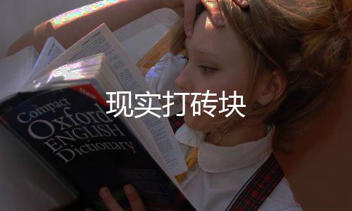 现实打砖块下载