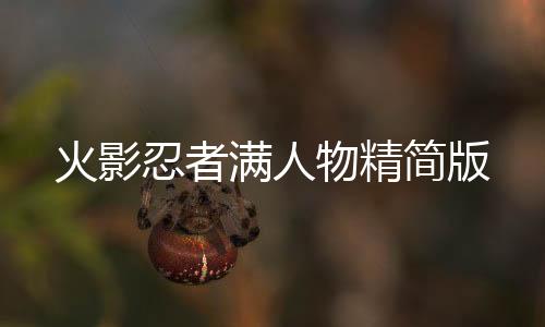 火影忍者满人物精简版下载