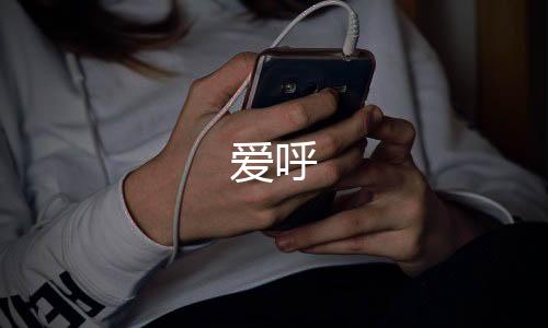爱呼下载