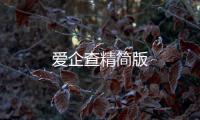爱企查精简版