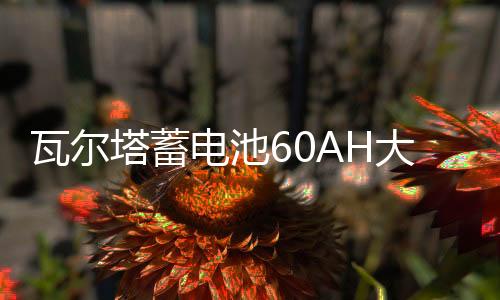 瓦尔塔蓄电池60AH大众朗逸速腾捷达途观夏朗POLO迈腾原装汽车电瓶下载