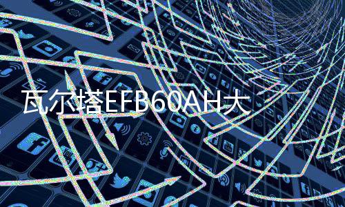 瓦尔塔EFB60AH大众朗逸plus新宝来POLO捷达新桑塔纳原装启停电瓶下载