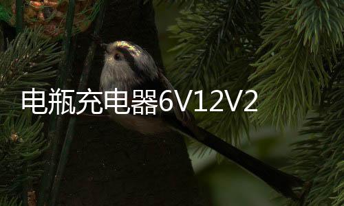 电瓶充电器6V12V24V大功率多功能纯铜通用型蓄电池汽车电池充电机下载