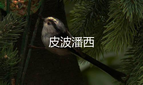 皮波潘西下载