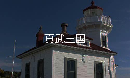 真武三国下载