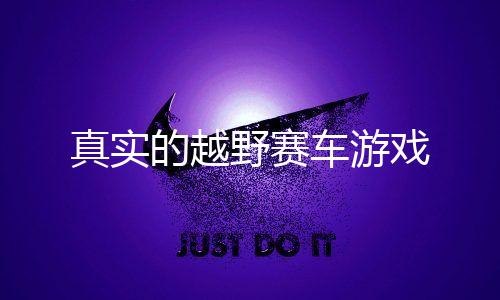 真实的越野赛车游戏下载