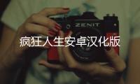 疯狂人生安卓汉化版
