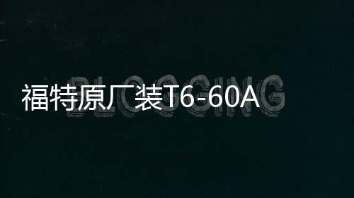 福特原厂装T6-60Ah适配福克斯福睿斯蒙迪欧致胜锐界翼虎汽车电瓶下载