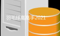 羽毛球高高手2021