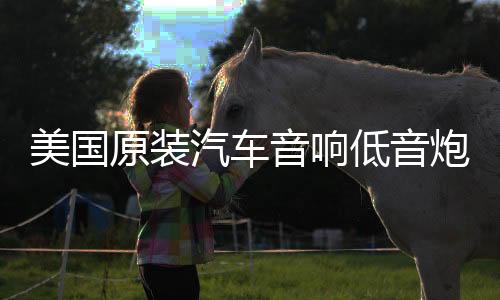 美国原装汽车音响低音炮D类数字单路功放1500W双音圈大功率功放板下载