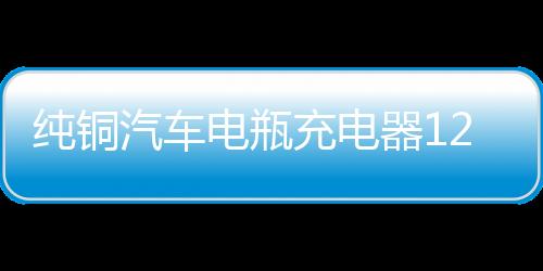 纯铜汽车电瓶充电器12V24V伏大功率充电机小车智能通用脉冲修复型下载