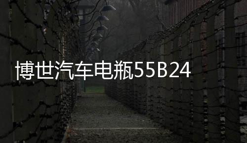 博世汽车电瓶55B24L适用雅阁思域CR-V新逍客轩逸骐达免维护蓄电池下载