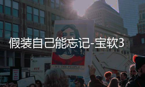 假装自己能忘记-宝软3D主题下载