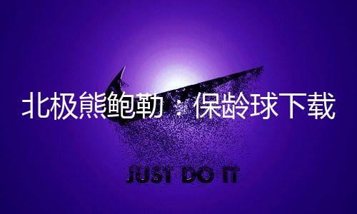 北极熊鲍勒：保龄球下载下载