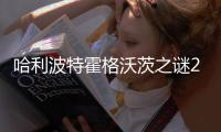 哈利波特霍格沃茨之谜2024