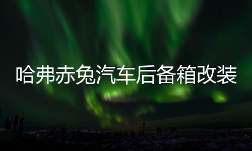 哈弗赤兔汽车后备箱改装专用隔板装饰隔物板收纳配件储物尾箱整理下载