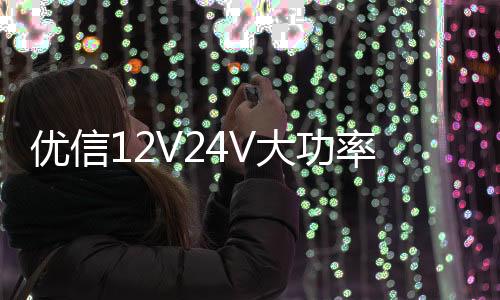 优信12V24V大功率货车卡车电瓶充电器12V汽车电瓶充电机船舶电池下载