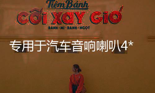 专用于汽车音响喇叭4*6普桑前门吉利帝豪旗云奇瑞QQ后备箱台改装下载