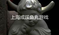 上海成蹊鱼丸游戏