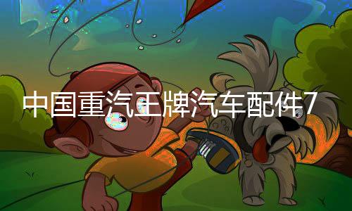 中国重汽王牌汽车配件777 757 737原厂点火开关点火锁启动开关下载