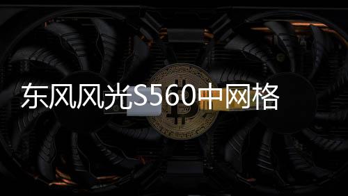东风风光S560中网格栅改装560前脸杠大包围专用装饰亮条用品配件下载