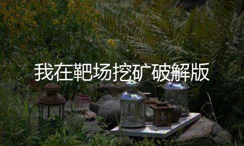 我在靶场挖矿破解版下载