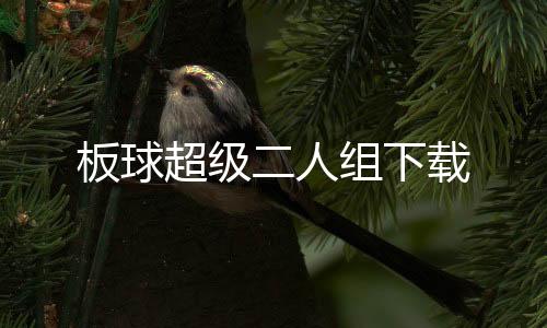 板球超级二人组下载下载